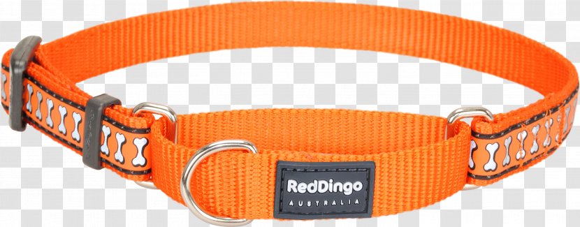 Dog Collar Dingo Cat - Martingale Transparent PNG