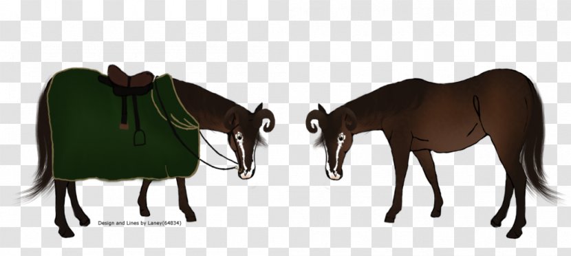 Mule Mustang Bridle Stallion Mare Transparent PNG