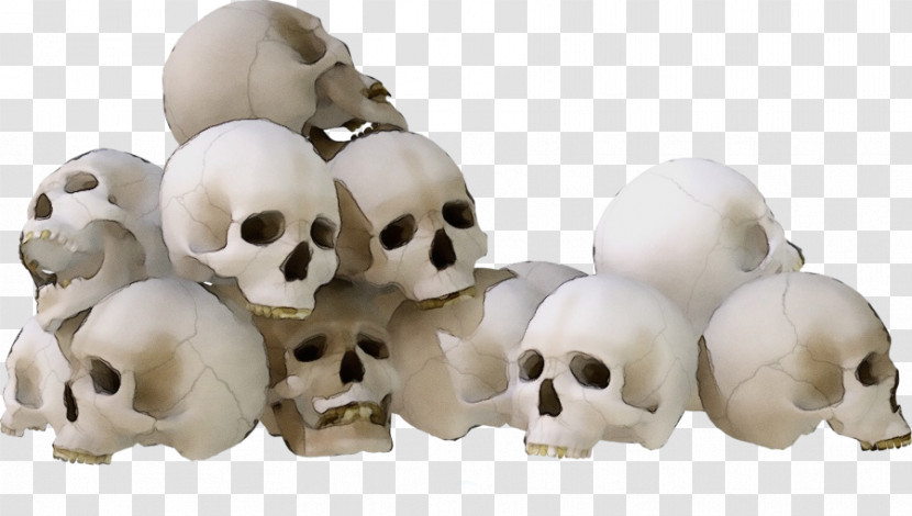 Snout Skeleton Transparent PNG