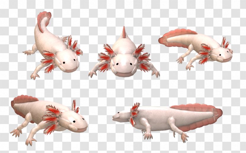 Spore Creatures Axolotl Salamander Clip Art - Tail Transparent PNG