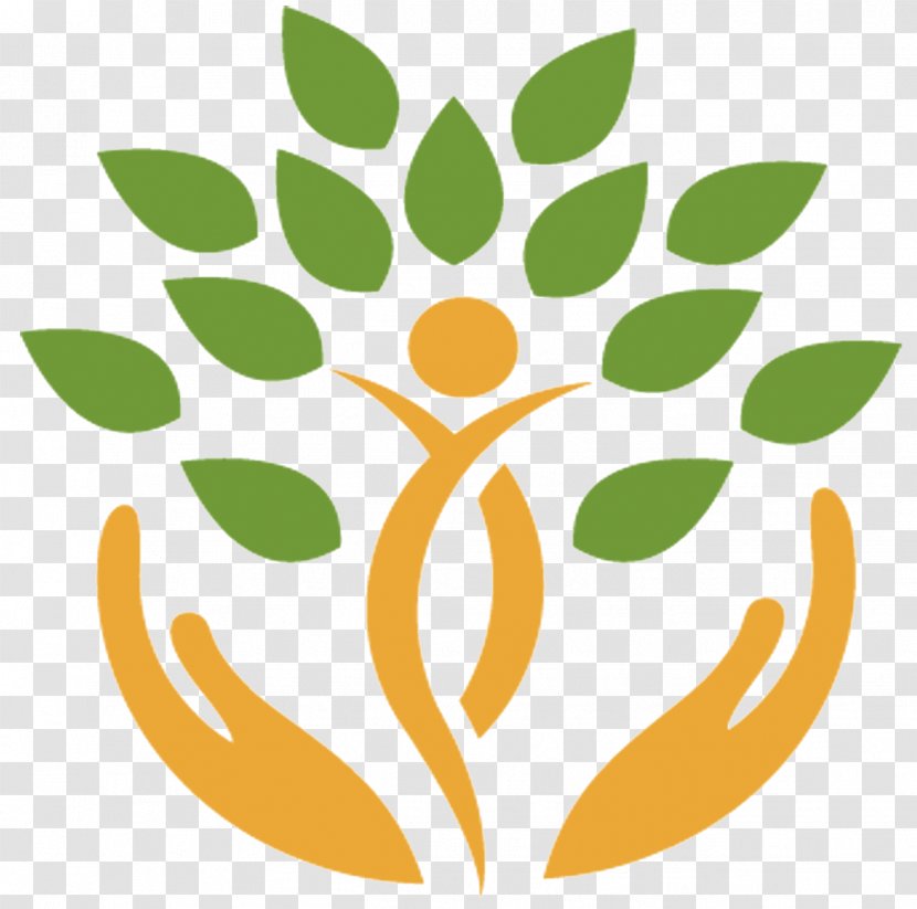 Bastyr University Naturopathy Medicine Health Care Physician - Icon Transparent PNG