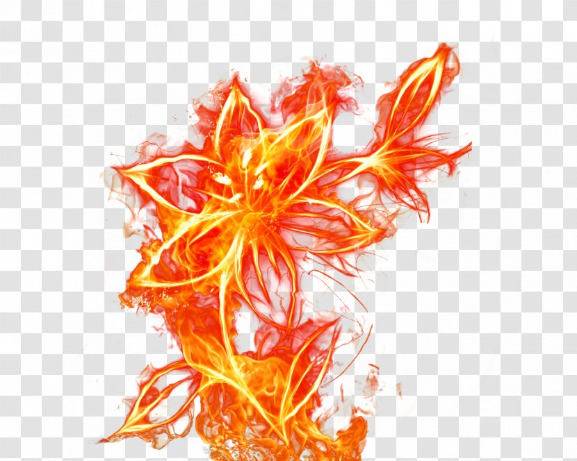Flame Fire Flower - Petal - Material Transparent PNG