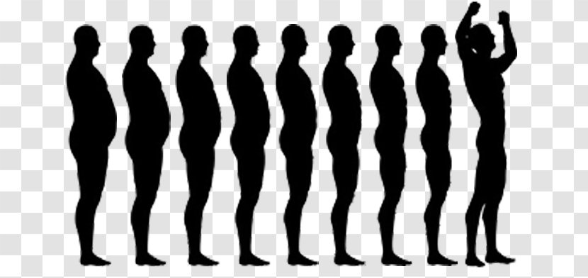 Weight Loss Diet Royalty-free - Standing - Adipose Tissue Transparent PNG