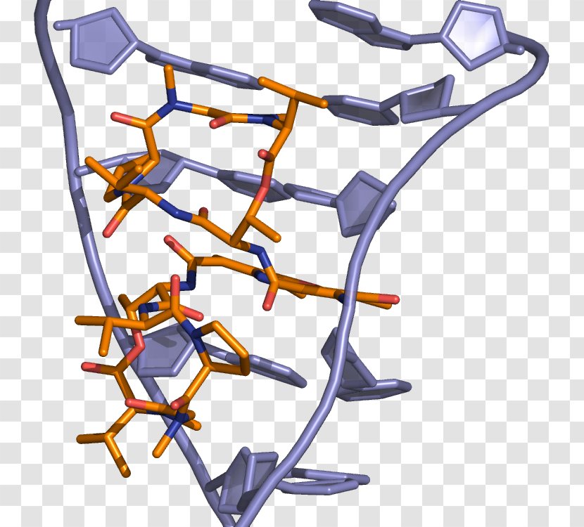 Dactinomycin DNA-binding Domain Intercalation Doxorubicin - Daunorubicin - Electric Blue Transparent PNG