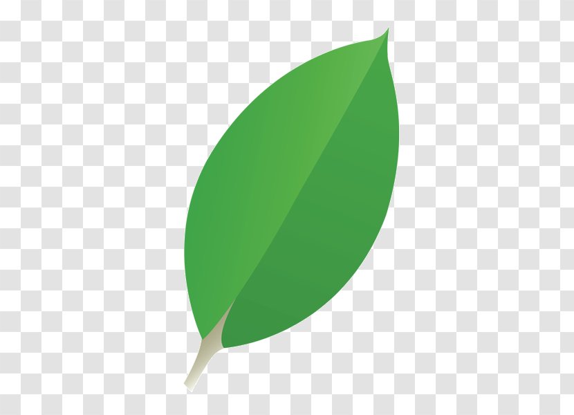 Green Product Design Leaf Transparent PNG