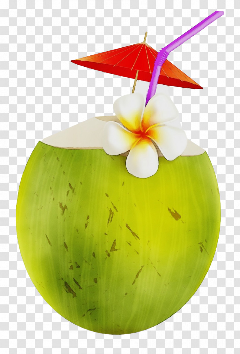 Coconut Transparent PNG