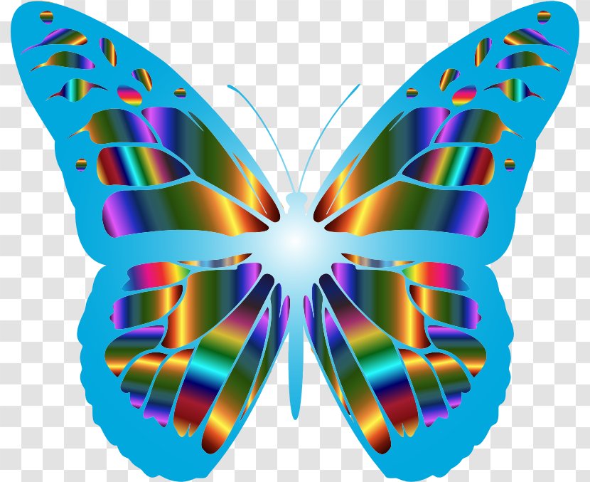 Monarch Butterfly Color Clip Art - Symmetry - Colorful Transparent PNG