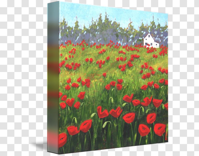 Common Poppy Painting Art Acrylic Paint - Field Transparent PNG