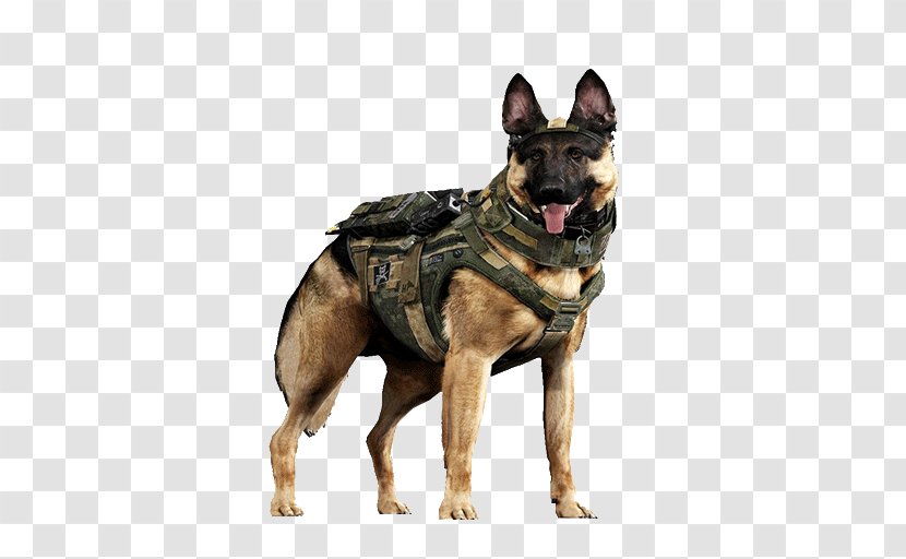 Call Of Duty: Ghosts German Shepherd Malinois Dog Labrador Retriever Black Ops III - Duty Transparent PNG