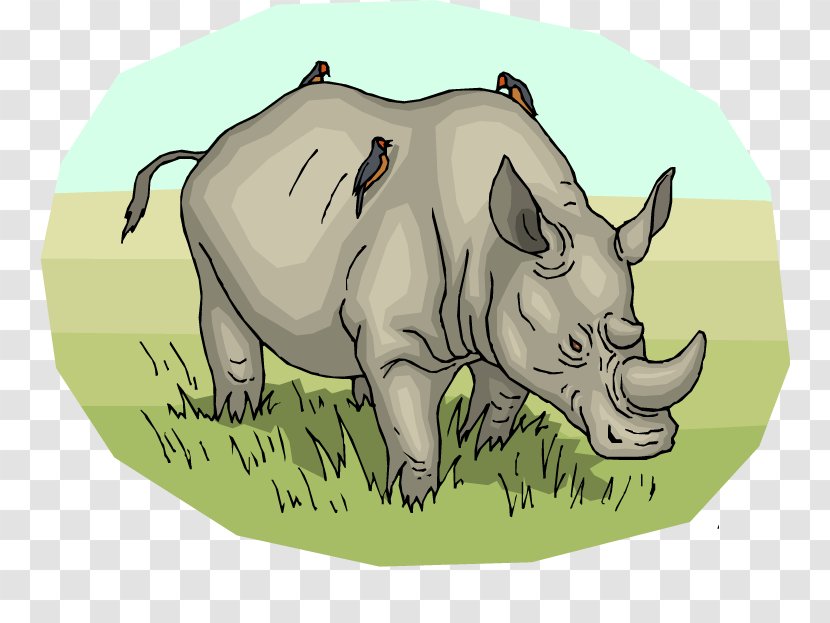 Northern White Rhinoceros Pig Horn Clip Art - Green Rhino Cliparts Transparent PNG