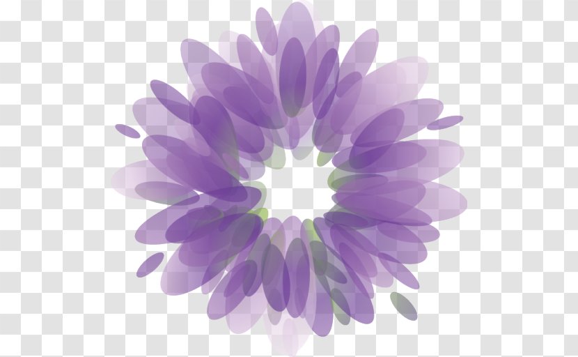 Chrysanthemum Desktop Wallpaper Daisy Family Purple Computer - Lilac - Beauty Scatters Flowers Transparent PNG