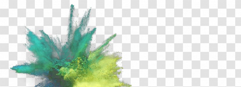 Green Dust - Tree - Paint Splashed Effect Transparent PNG