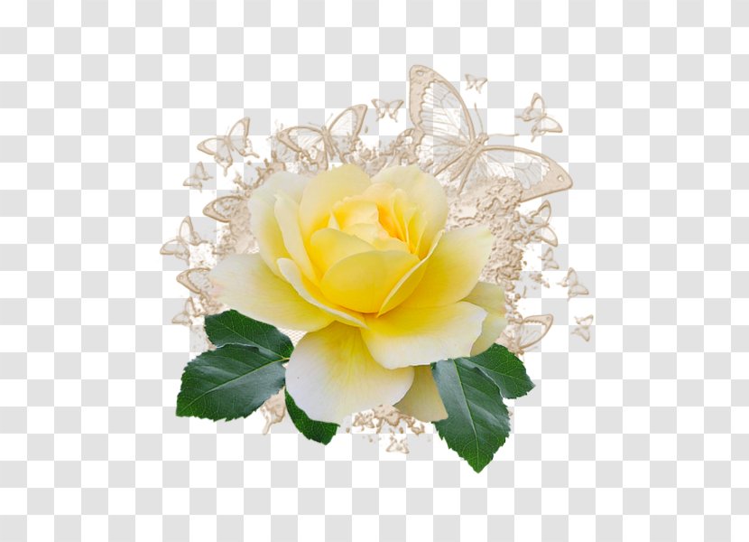 Garden Roses Flower Clip Art Floral Design Transparent PNG