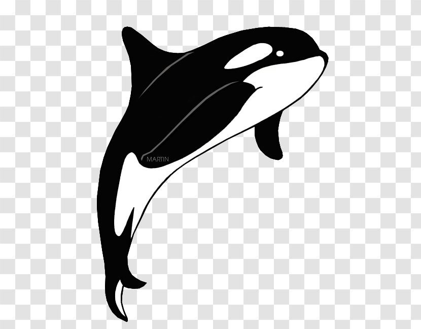 Clip Art Killer Whale The Orca Cetacea Image - Microsoft Powerpoint Transparent PNG