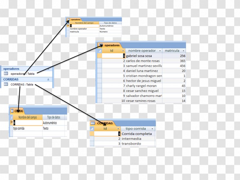 Organization Line System Computer Software Angle - Flower - Tabla Transparent PNG