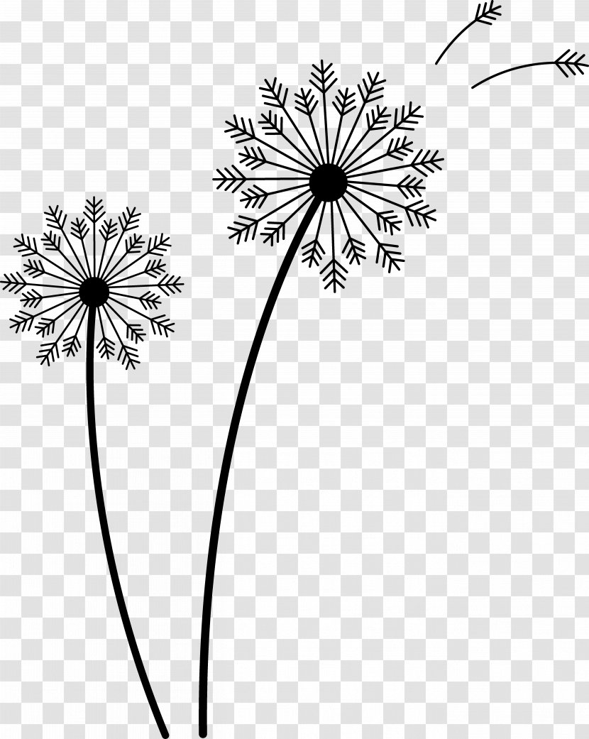 Drawing Common Dandelion Clip Art - Symmetry - Logo Transparent PNG