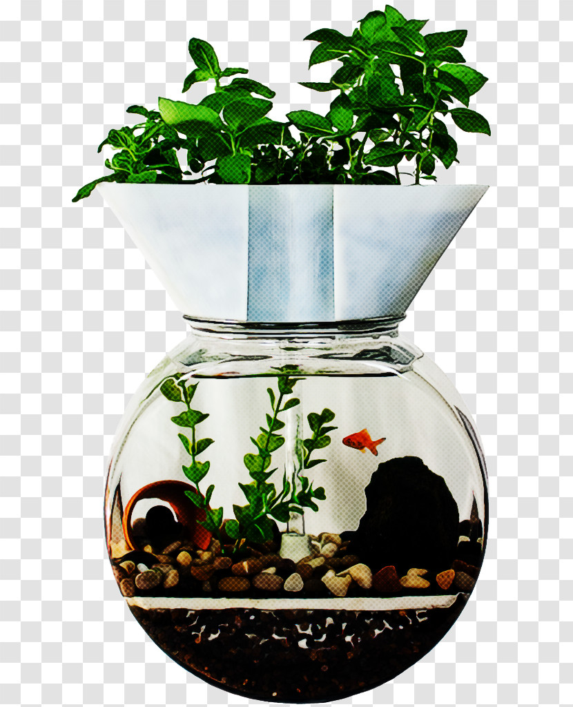 Flowerpot Plant Houseplant Tree Flower Transparent PNG