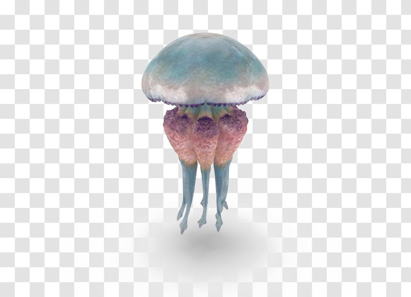 Image Jellyfish Clip Art GIF - Clownfish Pixelsquid Transparent PNG