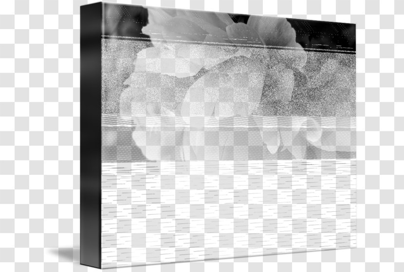 Picture Frames Rectangle - BELLE EPOQUE Transparent PNG