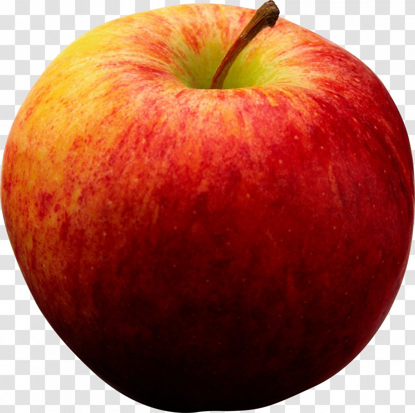 An Apple A Day Keeps The Doctor Away Martha Jones Dalek - Laxative - Red Transparent PNG