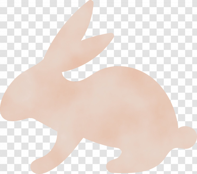 Hare Dog Snout Rabbit Tail Transparent PNG
