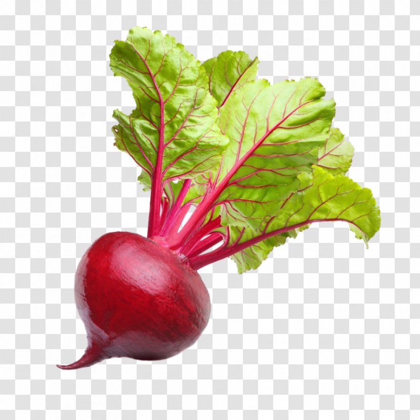 Beetroots Vegetable Food Chard - Turnip - Fresh Style Posters Transparent PNG