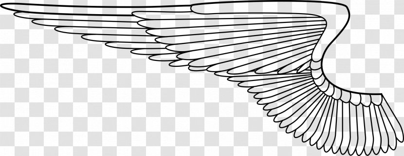 Drawing Clip Art - Line - Wings Transparent PNG