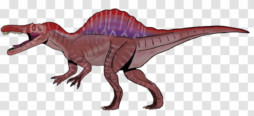 Tyrannosaurus Spinosaurus Giganotosaurus Rebbachisaurus Carcharodontosaurus - Velociraptor - Dinosaur Transparent PNG
