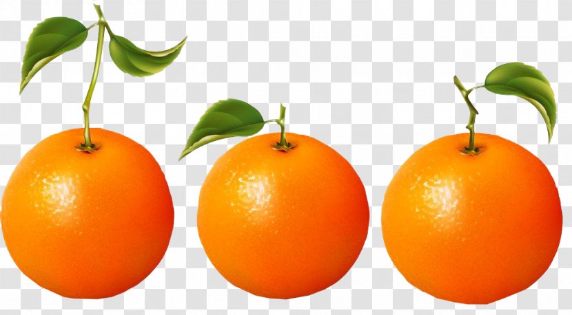 Clementine Orange Juice Blood Mandarin - Calamondin - Three Image Material Transparent PNG