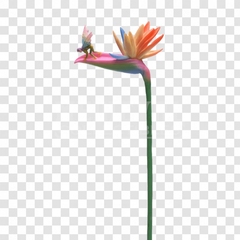 Plant Stem Flower Fairies Fairy Bird - Flowering - PARADİSE Transparent PNG