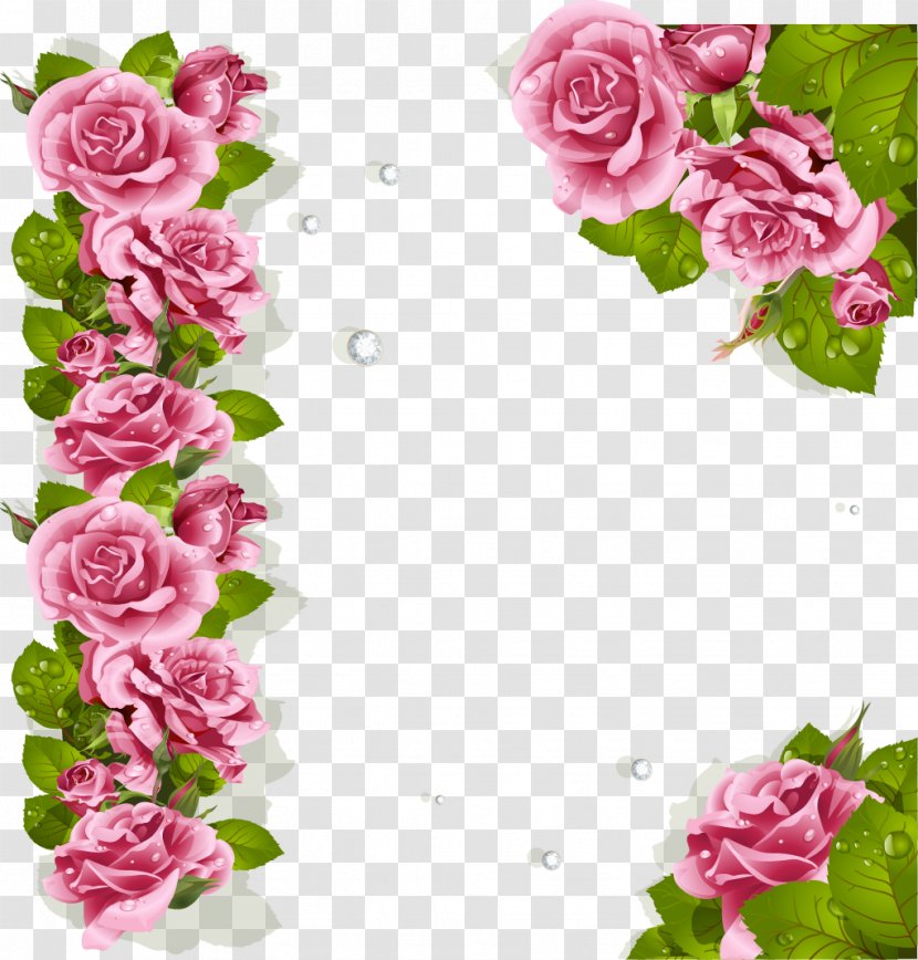 Garden Roses Floral Design Cabbage Rose Cut Flowers - Flower Transparent PNG