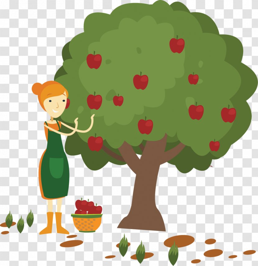 Apple Fruit Picking Clip Art - Cartoon - Vector Painted Apple-picking Transparent PNG