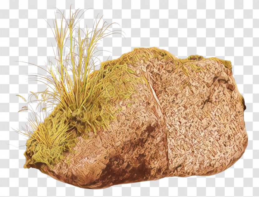 Grass Cartoon - Rock Transparent PNG