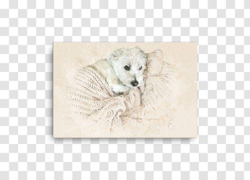 Puppy - Dog Like Mammal - Wall Mockup Transparent PNG