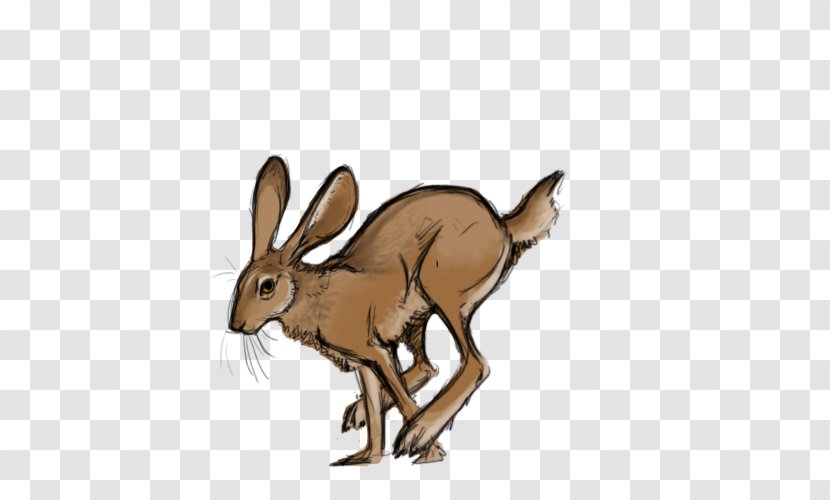 Domestic Rabbit Hare Rodent Dog Canidae - Terrestrial Animal - European Transparent PNG