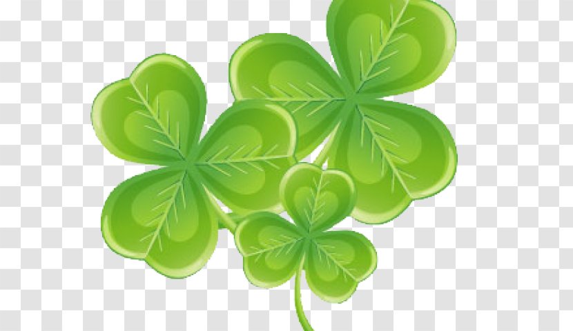 Shamrock - Flower - Wood Sorrel Family Petal Transparent PNG