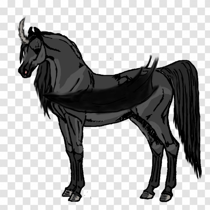 Mule Stallion Arabian Horse Mare Foal - Roan - Mustang Transparent PNG