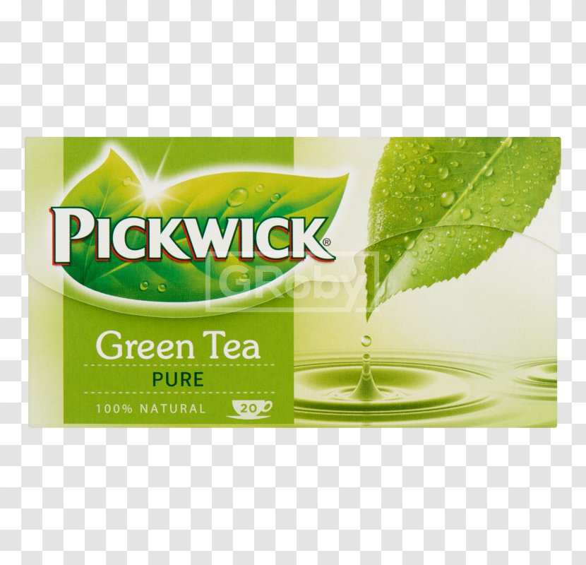 Green Tea Pickwick Iced White - Lipton Transparent PNG