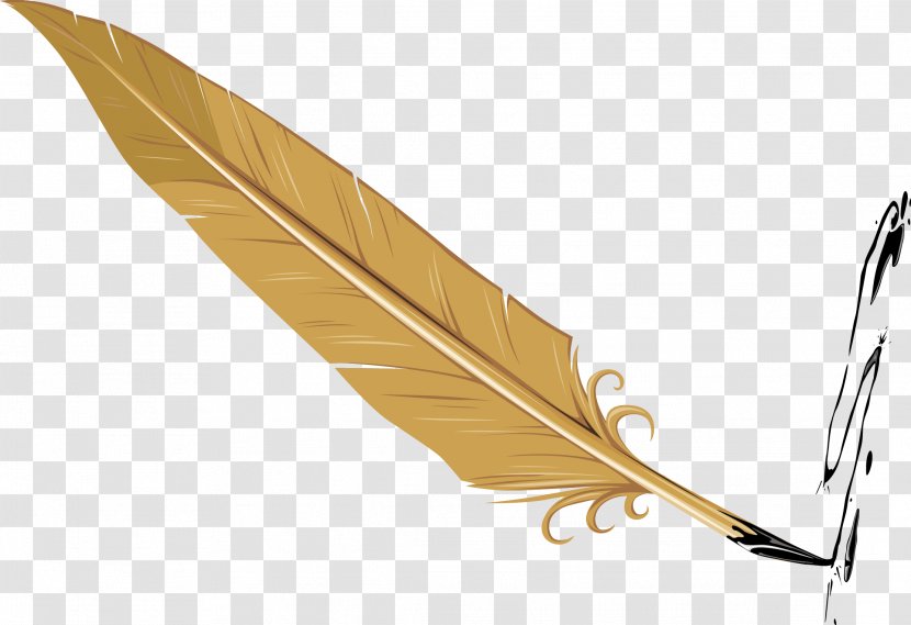 Feather - Designer - Decorative Vector Design Transparent PNG