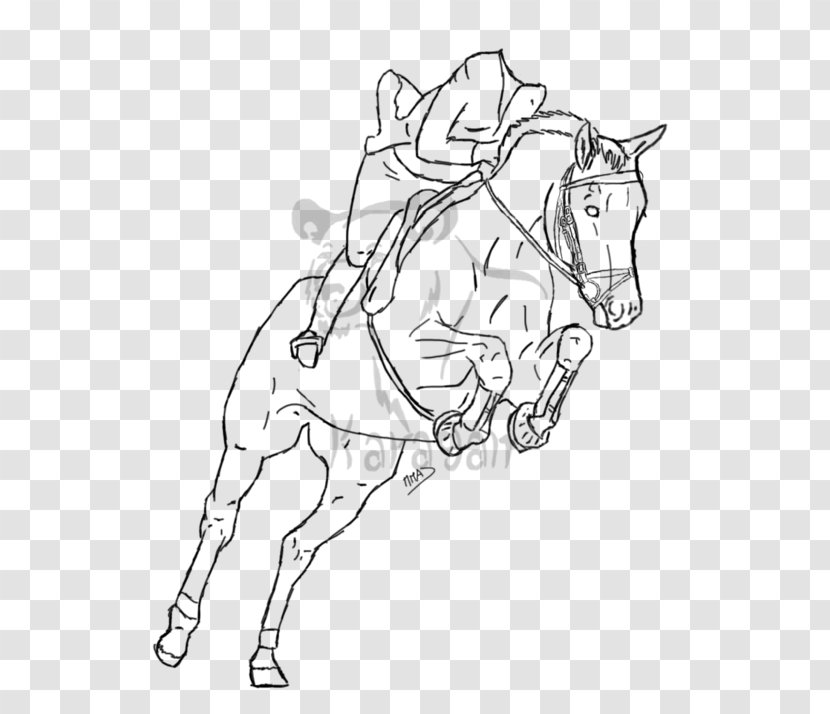 Mule Line Art Horse Pony Bridle - Jumping Transparent PNG