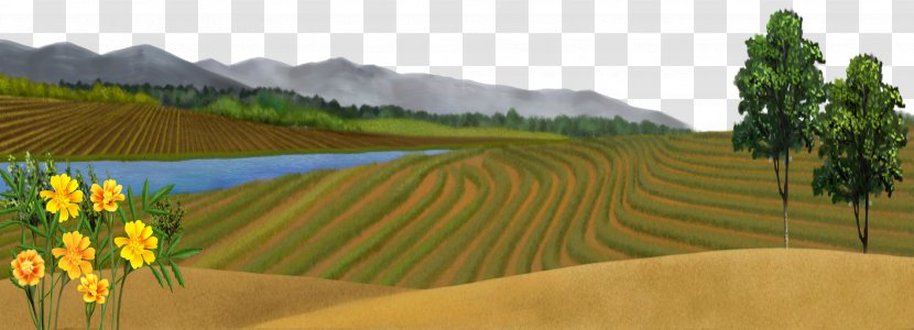 Spring Scenery Freehand Outskirts - Plantation - Adobe Transparent PNG