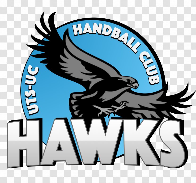 St Kilda Sydney University Handball Club League Australia Saint - Bird Transparent PNG