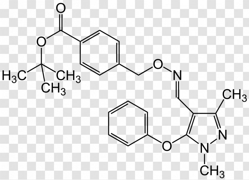 Valaciclovir Hydrochloride Pharmaceutical Drug Contraindication - Diagram - Chemical Transparent PNG