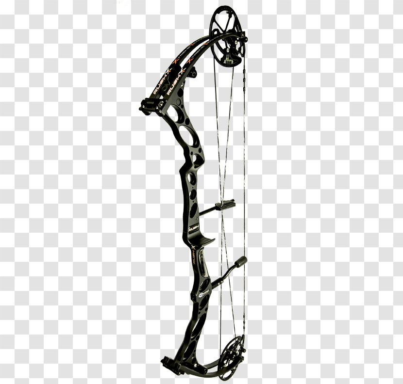 Compound Bows Bow And Arrow Archery Bowhunting - Tree - NASP Equipment Transparent PNG