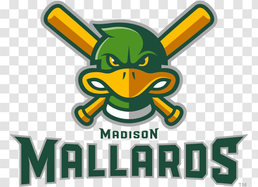 Madison Mallards Kenosha Kingfish Wisconsin Woodchucks Rockford Rivets Green Bay Bullfrogs - Baseball Transparent PNG