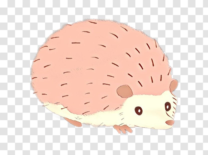 Hedgehog Cartoon Snout - Rodent Transparent PNG