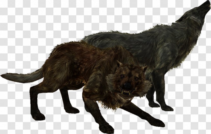 The Elder Scrolls V: Skyrim U2013 Dragonborn Oblivion Gray Wolf Mod - Wildlife Transparent PNG