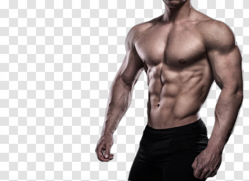 Physical Fitness Bodybuilding Muscle Weight Training - Heart - Men's Side HD Photograph Transparent PNG