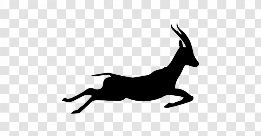 Gazelle Drawing Clip Art - Deer Transparent PNG