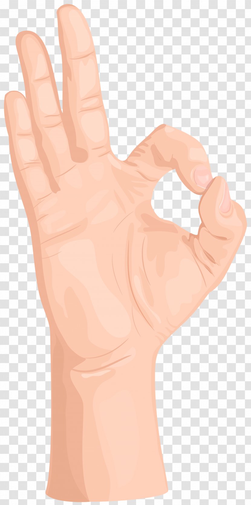 Gesture Thumb - Hand - OK Transparent Clip Art Transparent PNG